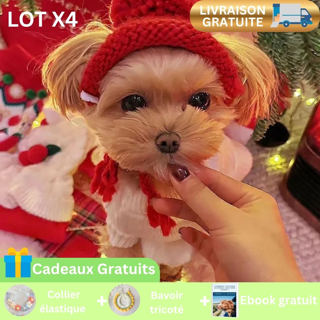 Bonnet pour chienâą | ChaudStyle