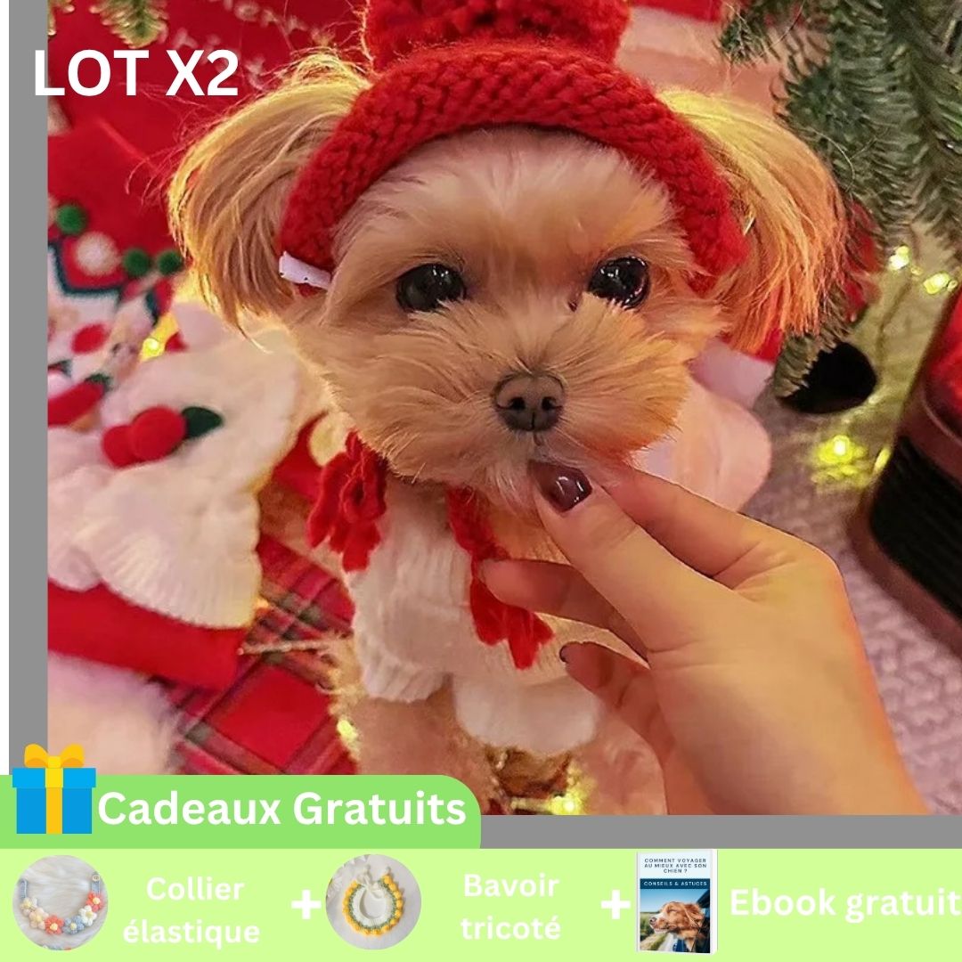 Bonnet pour chien™ | ChaudStyle