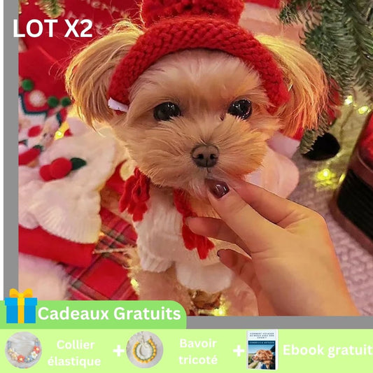 Bonnet pour chien™ | ChaudStyle