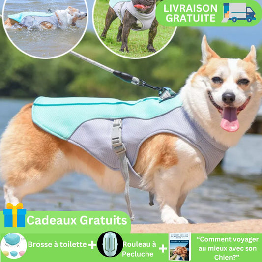 Gilet Chien™