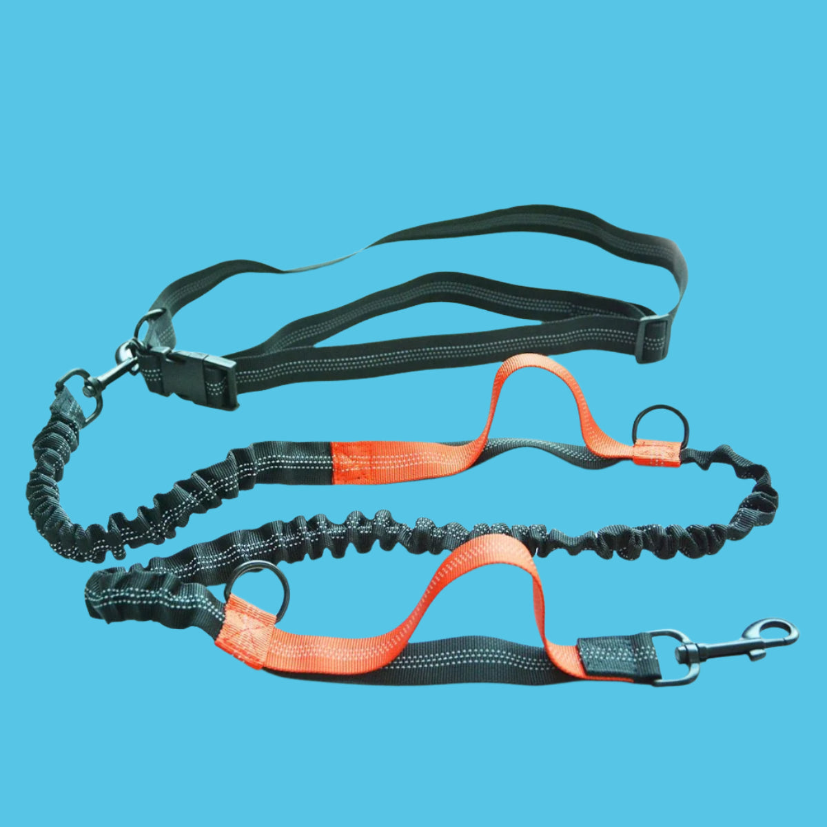 Ceinture de Footing avec Laisse Amortie™ - Universdeschiens