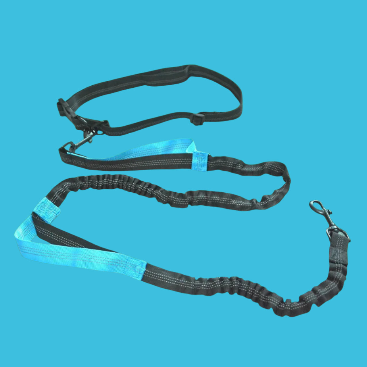 Ceinture de Footing avec Laisse Amortie™ - Universdeschiens