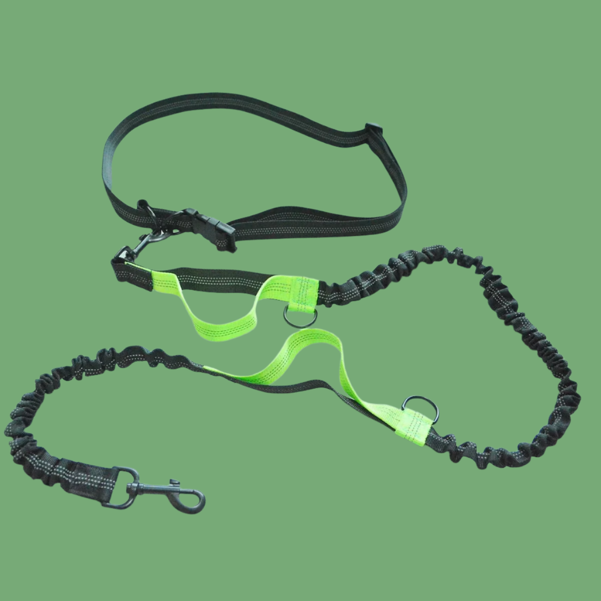 Ceinture de Footing avec Laisse Amortie™ - Universdeschiens