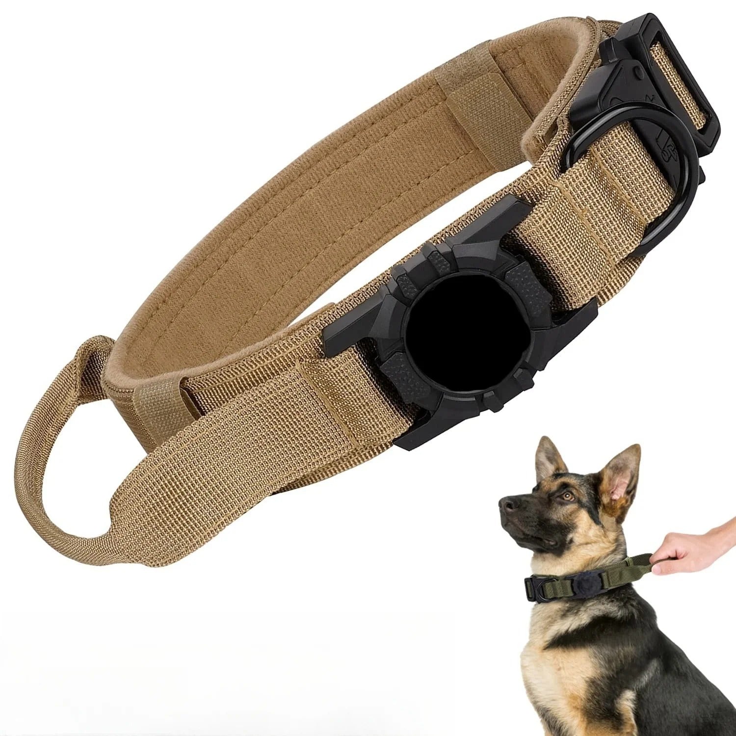 collier chien kaki securite
