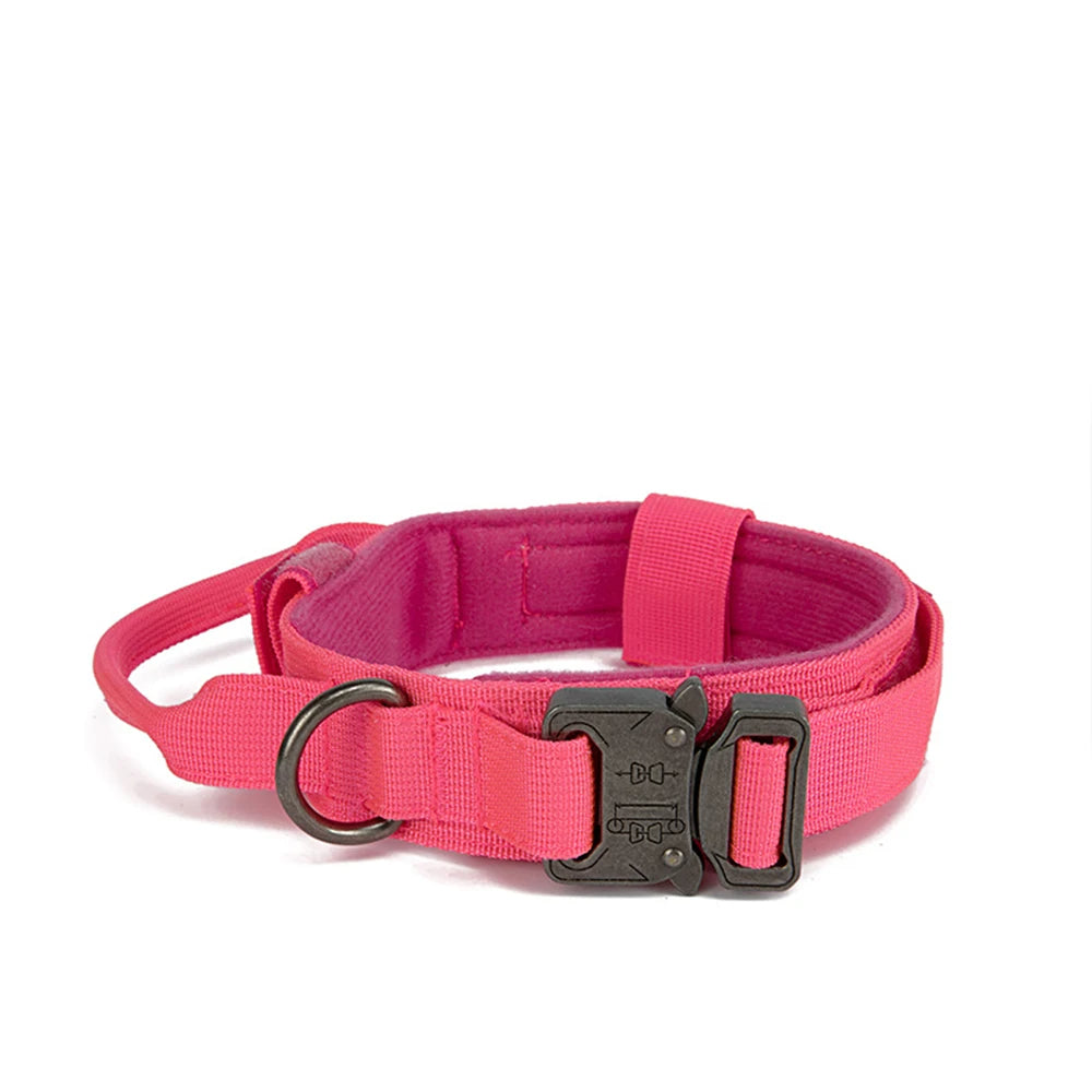 collier gros chien rose
