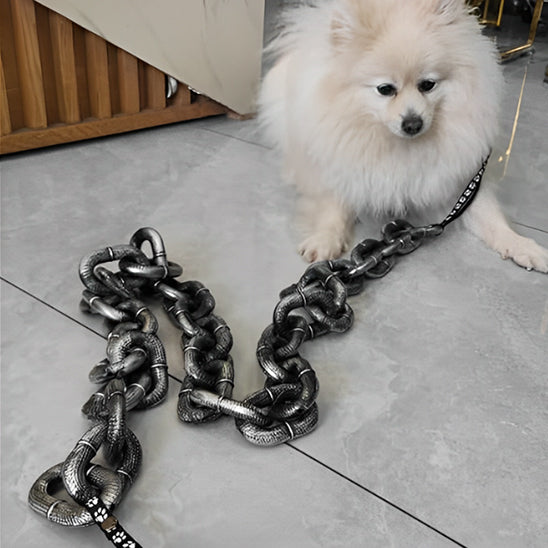 compagnon avec laisse de chien en holloween