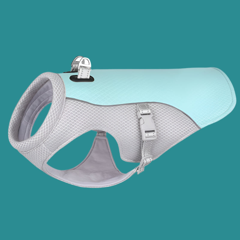 Gilet Chien™ - Universdeschiens