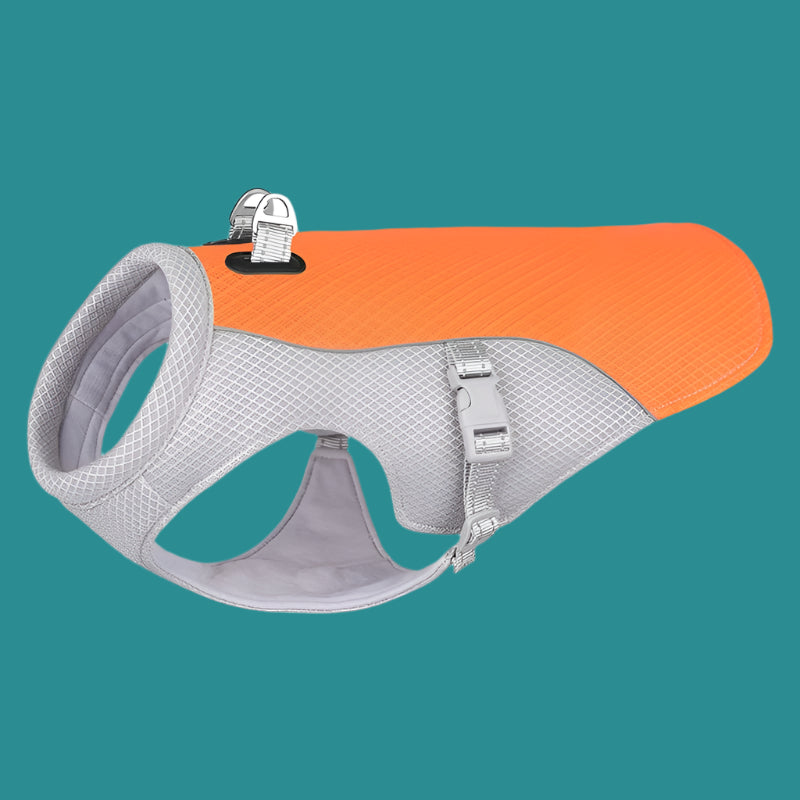 Gilet Chien™ - Universdeschiens