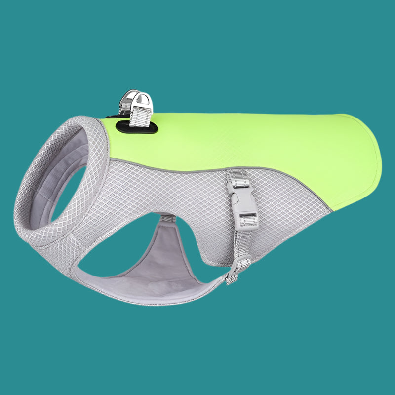 Gilet Chien™ - Universdeschiens