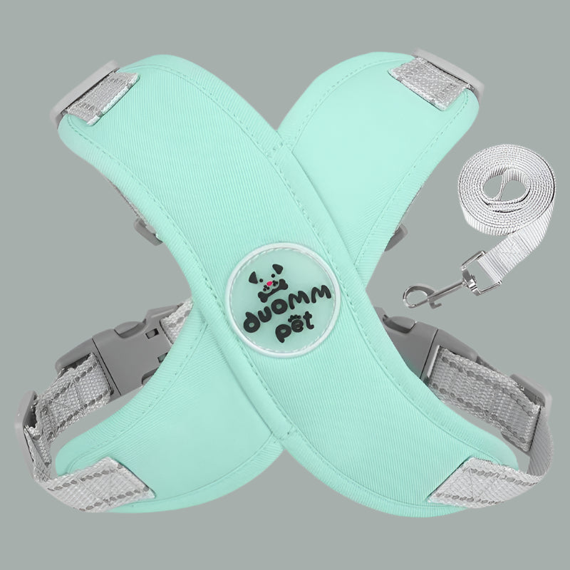 Harnais Chien - Universdeschiens