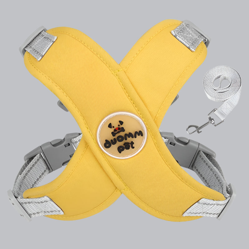 Harnais Chien - Universdeschiens