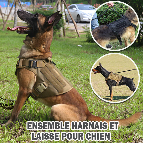 Harnais pour Chien