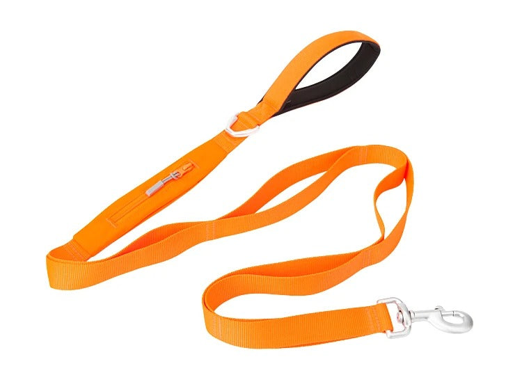 laisse chien orange stockage