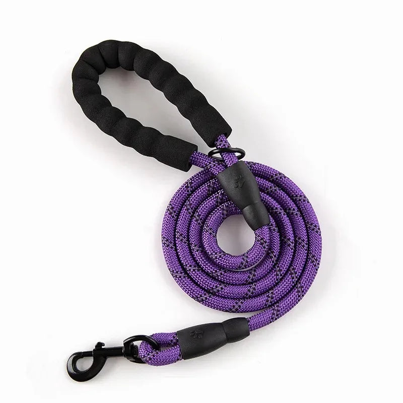 laisse pour chien mauve