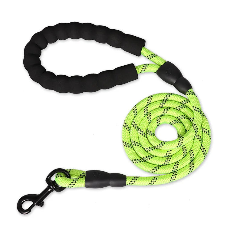 laisse pour chien noir vert