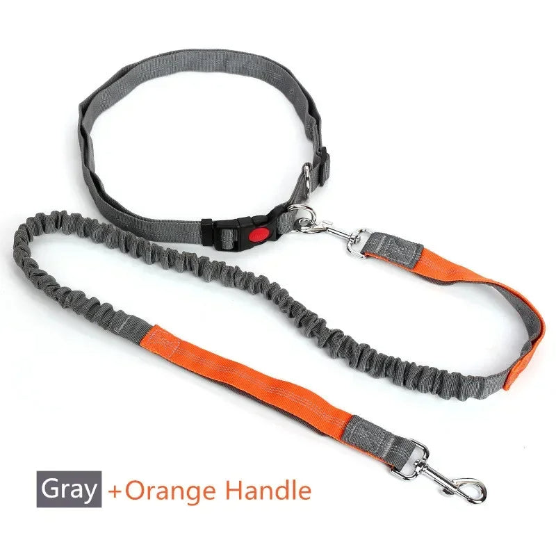 laisse pour chien orange gris