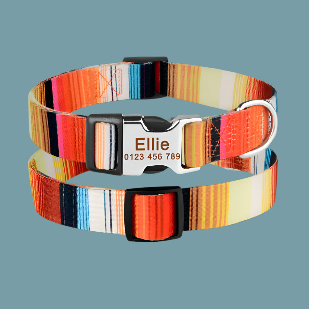 Collier Chien Personnalisé