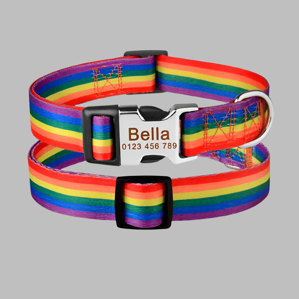 Collier Chien Personnalisé