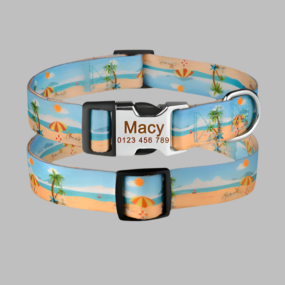 Collier Chien Personnalisé