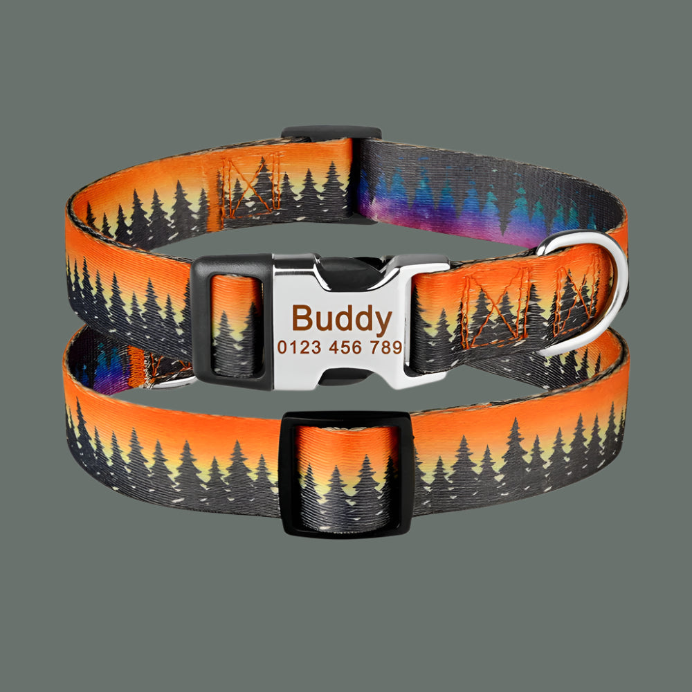 Collier Chien Personnalisé